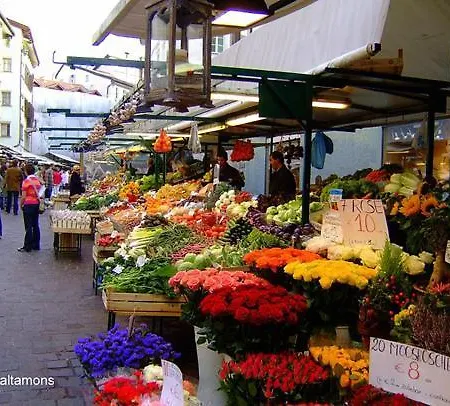 Centro Talvera Διαμέρισμα Μπολζάνο